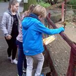 Pressefoto – Klimaschutzprojekt im Tierpark &#8211; Oberschule an der Weinau