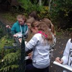 Design-Element – Klimaschutzprojekt im Tierpark &#8211; Oberschule an der Weinau