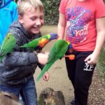Bildmaterial – Klimaschutzprojekt im Tierpark &#8211; Oberschule an der Weinau
