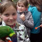 Illustration – Klimaschutzprojekt im Tierpark &#8211; Oberschule an der Weinau