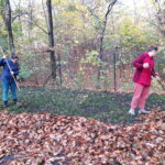 Grafik – Herbstputz in der Weinau 2022 &#8211; Oberschule an der Weinau