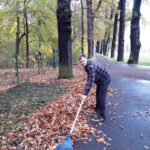 Design-Element – Herbstputz in der Weinau 2022 &#8211; Oberschule an der Weinau
