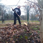 Visual – Frühjahrsputz in der Weinau &#8211; Oberschule an der Weinau