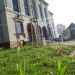 Visual – Ergebnisse des herbstlichen Zwiebelsteckens sichtbar &#8211; Oberschule an der Weinau