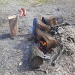 Produktbild – Aufforstungsaktion der 7. Klassen &#8211; Oberschule an der Weinau