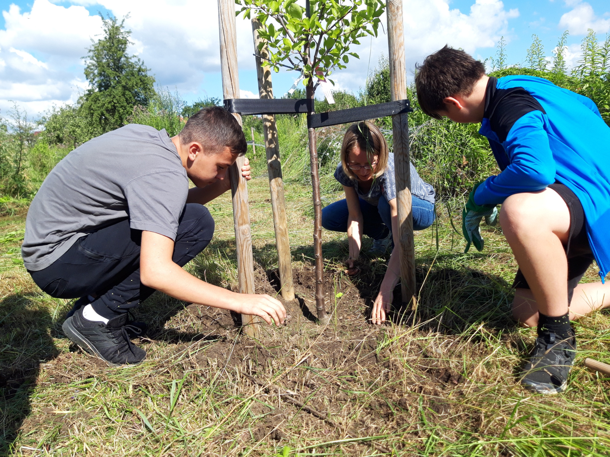 Pressefoto – Klimaschule &#8211; Oberschule an der Weinau