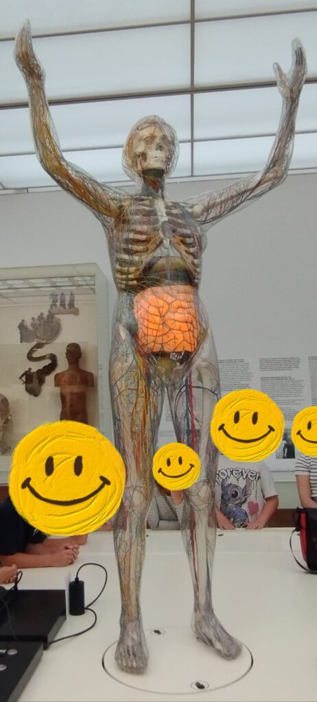 Bildmaterial – Sommerferienprogramm 2026 – Oberschule an der Weinau