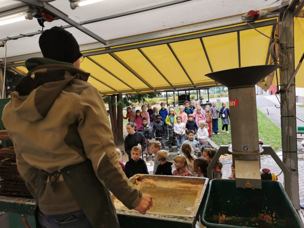 Produktbild – Nachhaltigkeitstag am 09.10.2026 – Oberschule an der Weinau